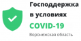 Господдержка в условиях COVID-19 Воронежская область
